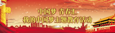 郑州市青联委员积极参与公交协管志愿服务